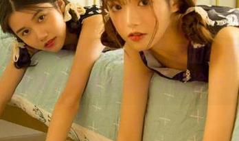 “hl155.ccm”里的资源到底是啥？感觉有点误入歧途…
