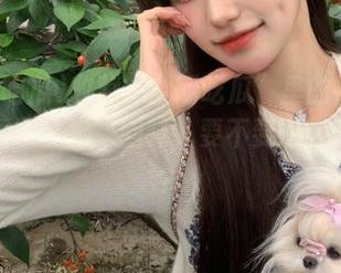 收藏“全网吃瓜”里的神仙评论，没事拿出来回味，要不要这么贼有才？