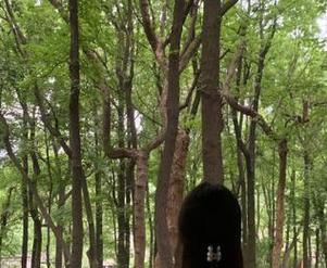 冲哥黑料不打烊：下载1080P，瓜多到让你眼花！
