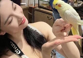 登陆吃瓜911官网，只为见黑料社让人咂舌的反差！