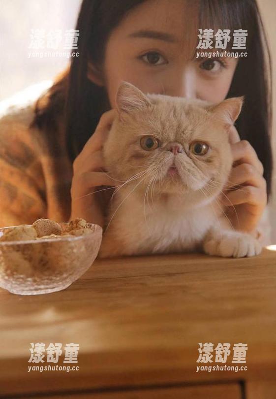 黑料不打烊 黑料不打烊,万里长征,传送门助攻,助我迅速挺进八卦世界!