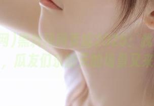 黑料网网页版2025：我永不迷路，瓜友们乐翻天的场景又来袭